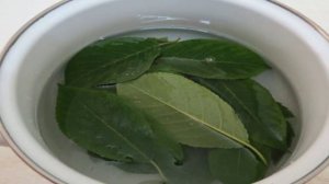 Огурцы маринованные с лимонной кислотой