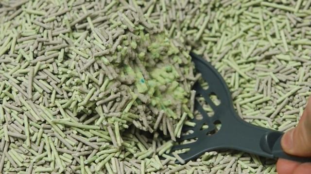 Kodėl katei gali netikti naudojamas kraikas? смотреть онлайн