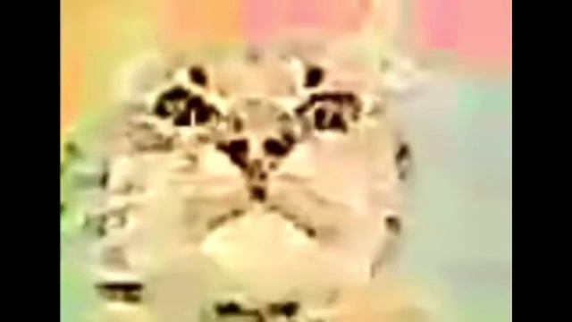 Кит глухой и мама не мав! смотреть онлайн