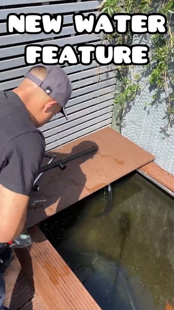 DIY POND WATERFALL PVC PIPE #fancygoldfish #goldfishtank #aquarium #goldfish #fish