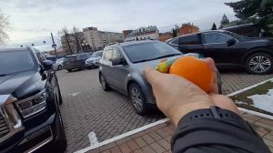 Рыжие проказники