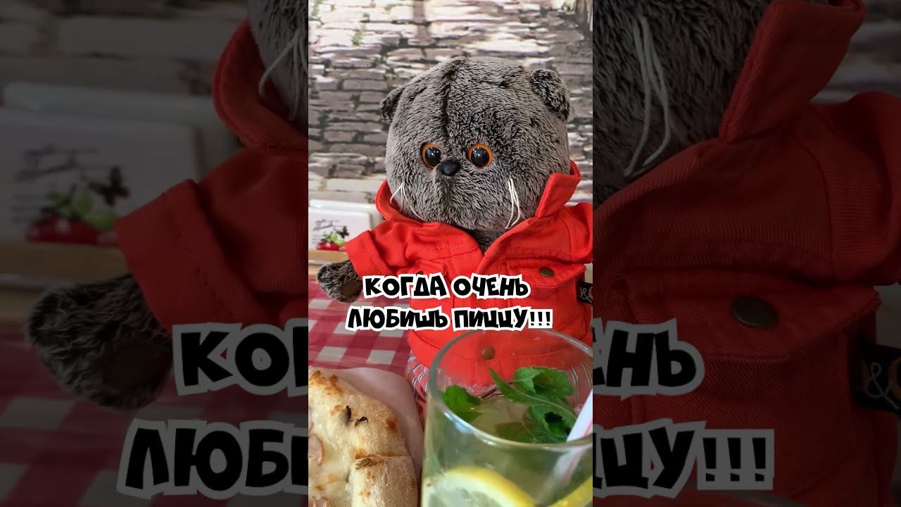 БАСИК СЪЕЛ ВСЮ ПИЦЦУ? / БАСИК И ПИЦЦА #shorts/ Волшебные будни
