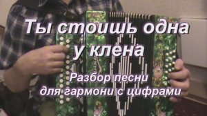Ты стоишь одна у клена. (057 гармонь с цифрами)