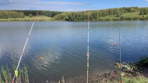 РЫБАЛКА на гальянов, охота за ЩУКОЙ