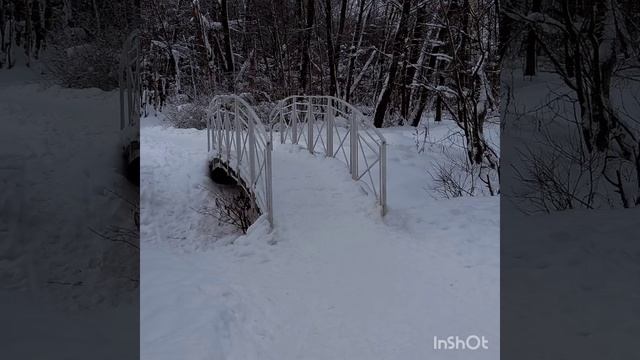 Прогулка в парке 01.01.2022 смотреть онлайн