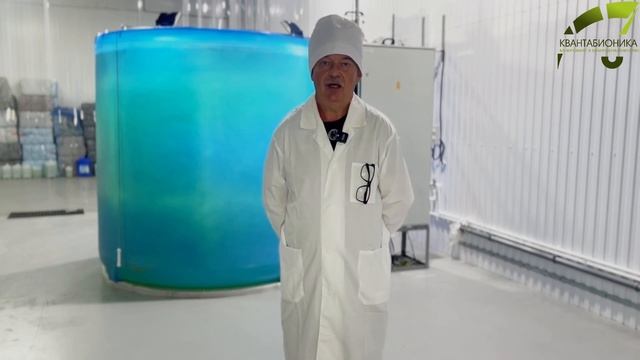Хлорелла для Коневодства: Здоровье и Энергия Ваших Лошадей