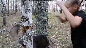 ДЕВОЧКА-БОКСЁР ДОЛБИТ БЕРЁЗУ В ЛЕСУ