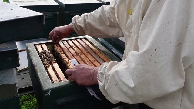 работа с ульями рут ,каждаая пчелосемья получает свое. смотреть онлайн