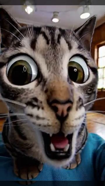 “This Cat’s Sound Effects Will Have You Crying Laughing!”