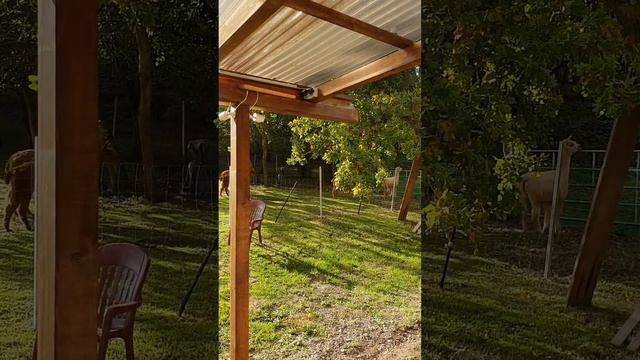 24 ноября 2022 г. смотреть онлайн