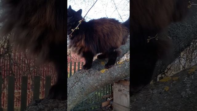 20250414_181922.mp4