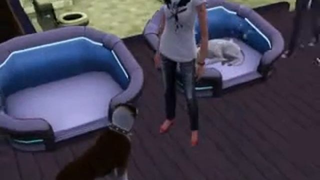 Video 11 смотреть онлайн