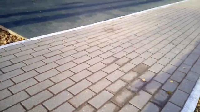 Воронёнок Рокки, пострадавший от рук человека, но оставшийся добрым ииии почти ручным. смотреть онлайн