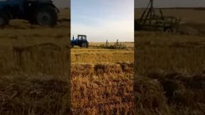 Видео работы Бороны цепной Двуреченского БЦД 12