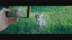 Реклама Печенье БельВита   belVita   Заряди утро