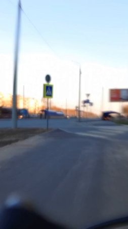 большая крылока