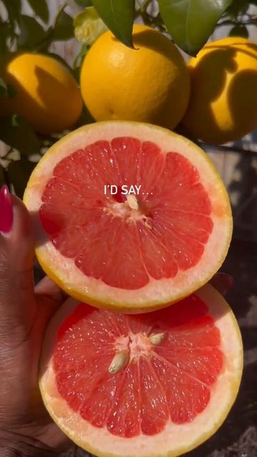 Rio Red Orange 🍊#shorts #ytshorts #orange #fruits смотреть онлайн