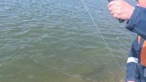 Рыбалка в БУХТЕ АНДРЕЕВА в Таганроге. Нереальный клёв.