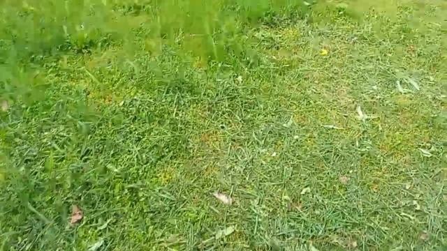 Приходили покупатели, предложили 3 мил. Выкупила лекарства.