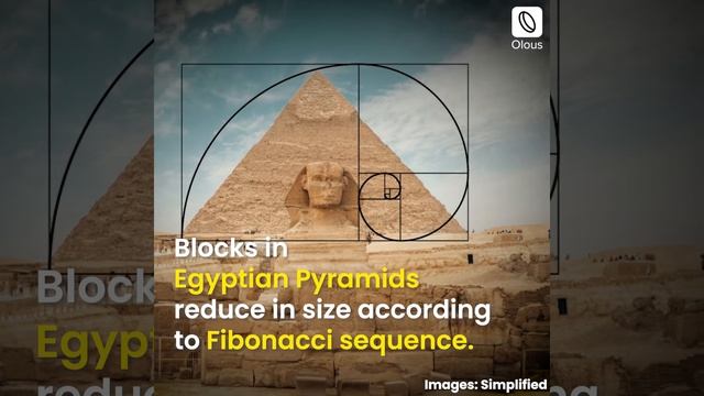 Fibonacci Sequence in Architecture | Golden Ratio