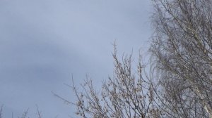 Весенний пляж, Кама