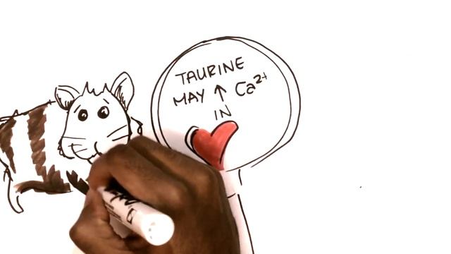 Taurine