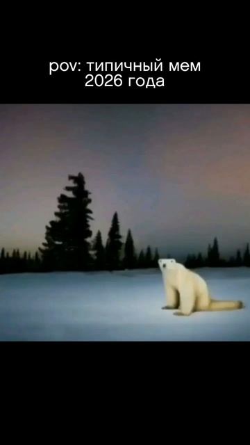 Дефолт #мем #мемы #медведь #белыймишка #2026 #будущее смотреть онлайн