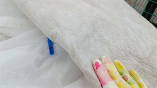 16 апреля. Вынесла рассаду цветов в теплицу. Снег❄❄ дождь💦.