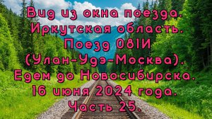 Вид из окна поезда. Иркутская область. Поезд 081И. Едем до Новосибирска. 16 июня 2024 года. Часть 25