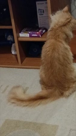 Мята & 😻💕🌱😋👍