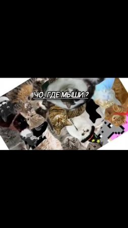 озвучка не моя