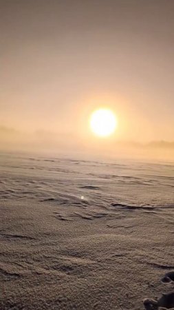 Красота Холода
