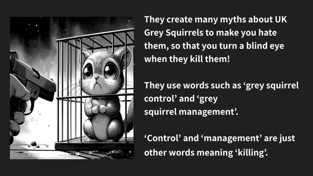 Grey Squirrel Protection UK смотреть онлайн