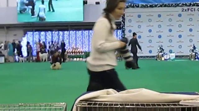 выставка Киев - 14 января 2014 -2 смотреть онлайн