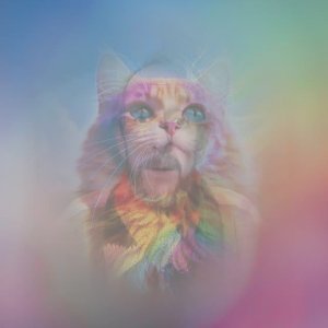 Кот Хамильон