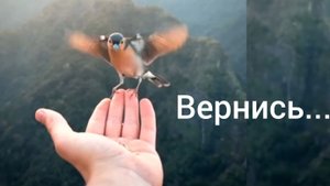 Вернись, дверь не заперта...