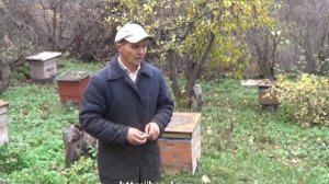 Осенняя работа пчеловода