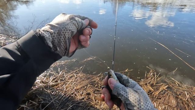 Зима вернулась, а РЫБА попряталась, но ПОЙМАТЬ МОЖНО! Нано-Джиг и Мормышинг ВЕСНОЙ! Рыбалка! смотреть онлайн