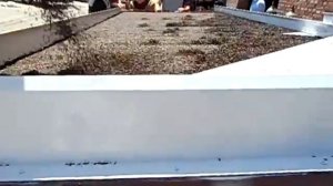 SYNMEC 5XZ-6 Gravity Separator Working Video for Cassia Seed