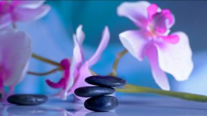 🌿 ИСЦЕЛЯЮЩАЯ МУЗЫКА ДЛЯ ЧАКРАЛЬНОЙ МЕДИТАЦИИ ПОМОЖЕТ ПЕРЕСТРОИТЬ ЧАКРЫ И ВЕРНЕТ ТЕЛО В РАВНОВЕСИЕ