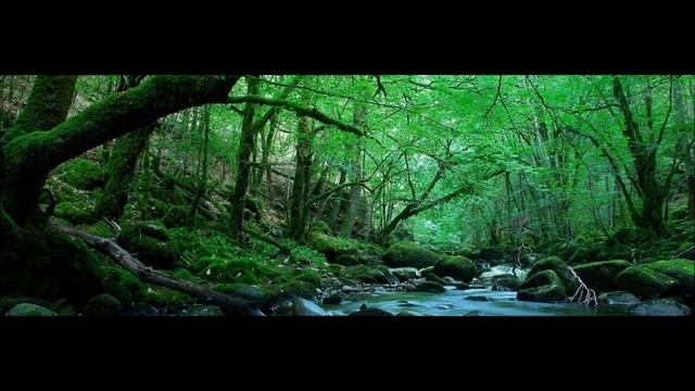 Triceratops- This is a mess, not a disney film смотреть онлайн