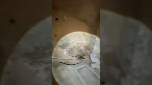 Особняк Михайловка