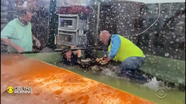 Trainer saved by visitor after being attacked by an alligator during child’s birthday party