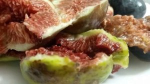 Лучшие сорта инжира в России. Small Gardens