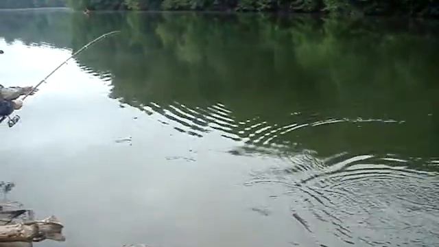 MOV09916.MPG смотреть онлайн