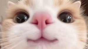 .•°✩⚪Эстетика⚪✩°•.