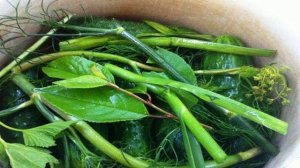 Малосольные огурцы.