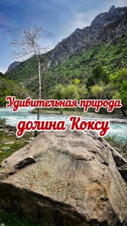 Коксу однодневный поход пикник с шашлыками