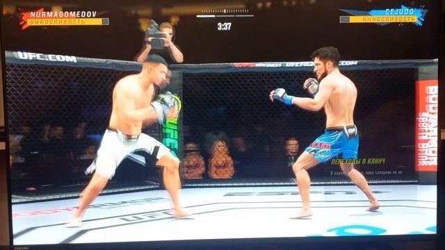 Умар Нурмагомедов против Генри Сехудо бой в UFC 4