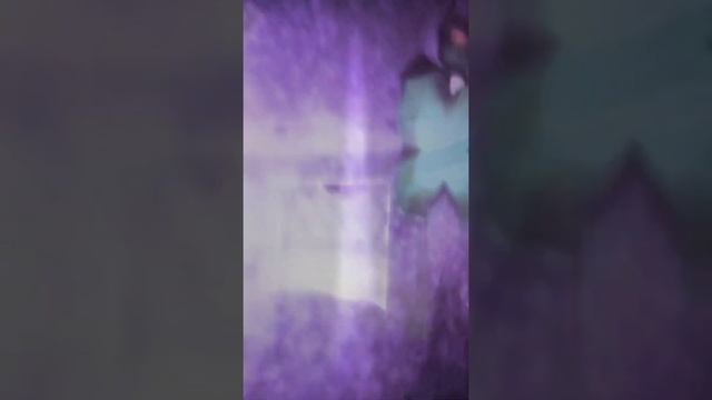 GRIZZY AND THE LEMMINGS - FAMILY JUNIOR - DANCE PARTY VERSION (Top 40 Shows) смотреть онлайн